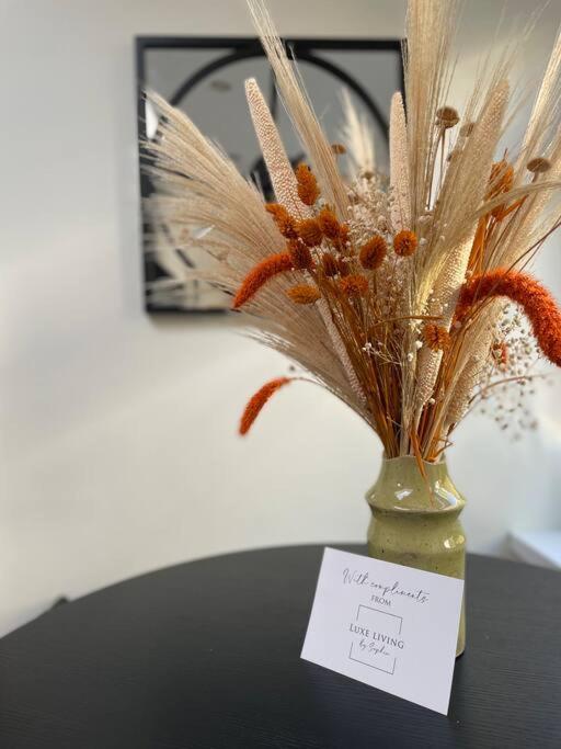 New Luxury For 2024 - Central Plymouth House - Sleeps 10 - Access To Plymouth Town - Close To The Barbican - Pets Welcome - Parking Available - By Luxe Living By Sophia 외부 사진